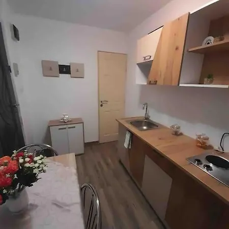 Apartament Ultracentral,opera,piata Unirii,lux