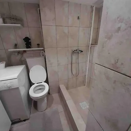 Apartament Ultracentral,opera,piata Unirii,lux * Timisoara