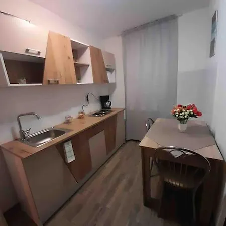 Apartment Apartament Ultracentral,opera,piata Unirii,lux