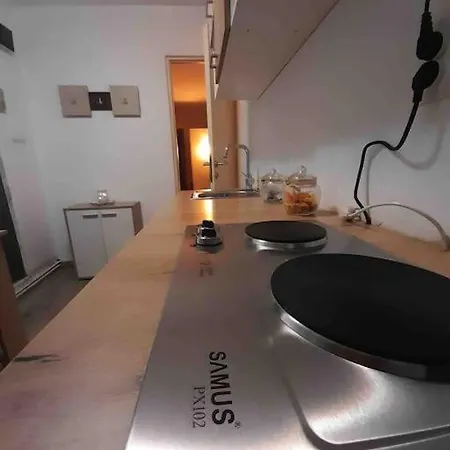 Apartament Ultracentral,opera,piata Unirii,lux Apartment Timisoara