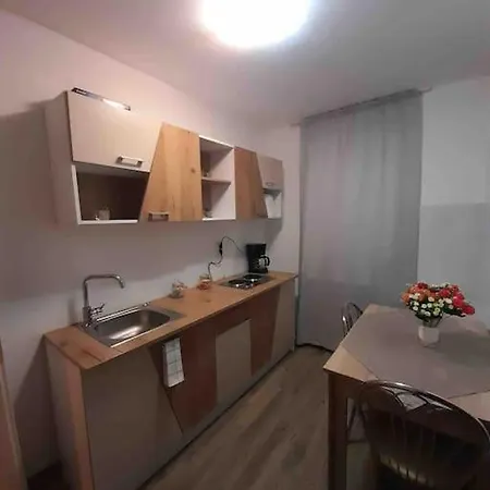 Apartament Ultracentral,opera,piata Unirii,lux