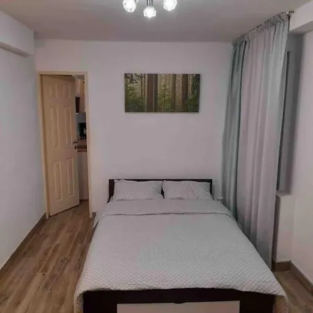 Apartament Ultracentral,opera,piata Unirii,lux Apartment