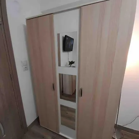 Apartament Ultracentral,opera,piata Unirii,lux Apartment Timisoara