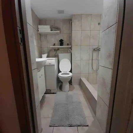 Apartament Ultracentral,opera,piata Unirii,lux Timisoara