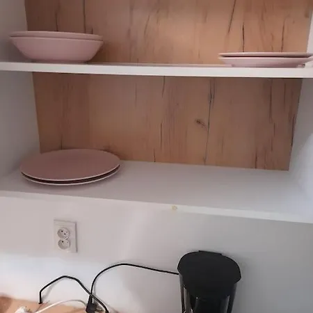 Apartament Ultracentral,opera,piata Unirii,lux *